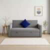 Sofá cama 2 plazas