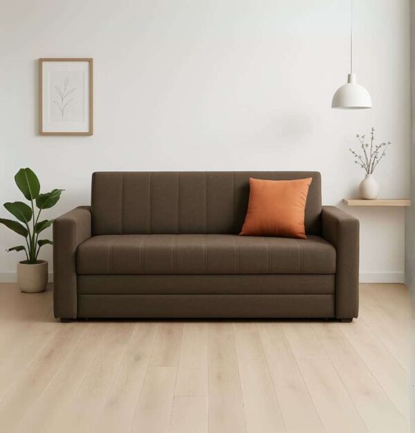 Sofá cama 2 plazas