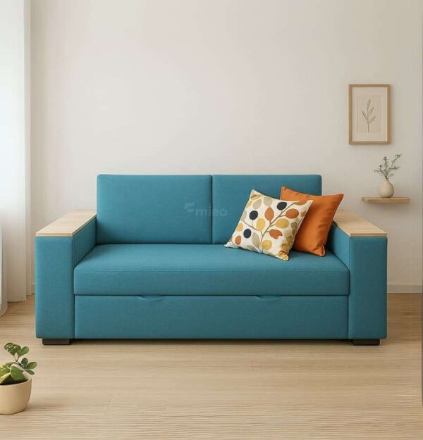 Sofá cama 2 plazas